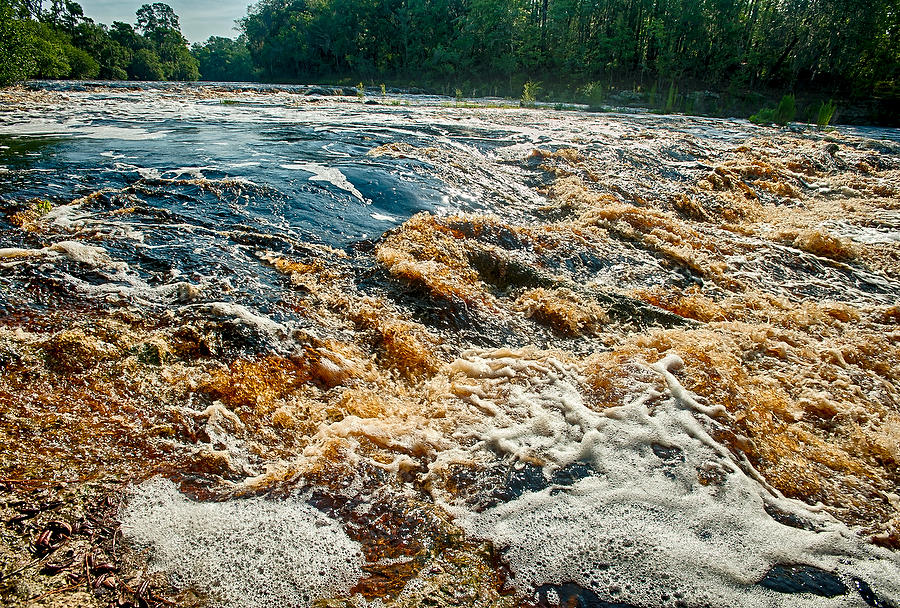 Big Shoals Suwannee 061312-35  : Waterways and Woods  : Will Dickey Florida Fine Art Nature and Wildlife Photography - Images of Florida's First Coast - Nature and Landscape Photographs of Jacksonville, St. Augustine, Florida nature preserves