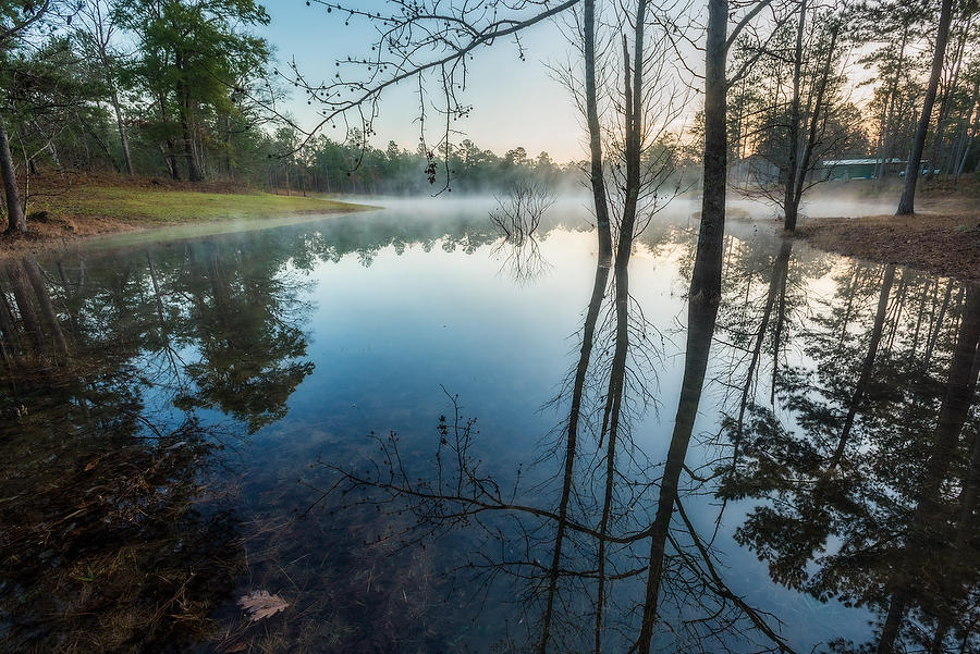 Camp Pond 
122916-23  : Waterways and Woods  : Will Dickey Florida Fine Art Nature and Wildlife Photography - Images of Florida's First Coast - Nature and Landscape Photographs of Jacksonville, St. Augustine, Florida nature preserves