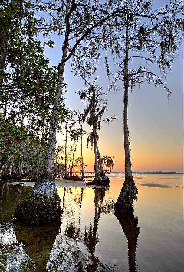 St. Johns Sunset 031009-156  : Waterways and Woods  : Will Dickey Florida Fine Art Nature and Wildlife Photography - Images of Florida's First Coast - Nature and Landscape Photographs of Jacksonville, St. Augustine, Florida nature preserves