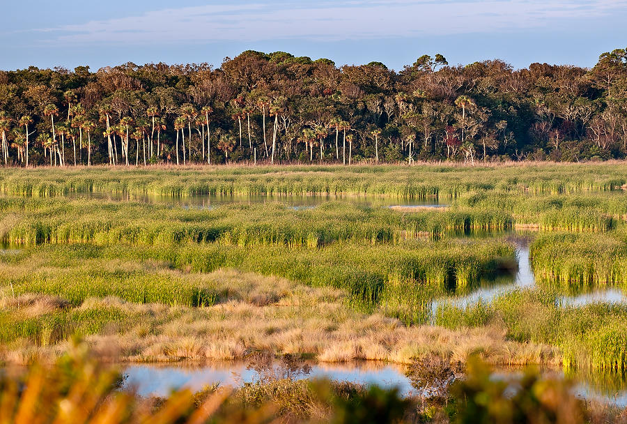 Guana Lake 
101808-166  : Waterways and Woods  : Will Dickey Florida Fine Art Nature and Wildlife Photography - Images of Florida's First Coast - Nature and Landscape Photographs of Jacksonville, St. Augustine, Florida nature preserves