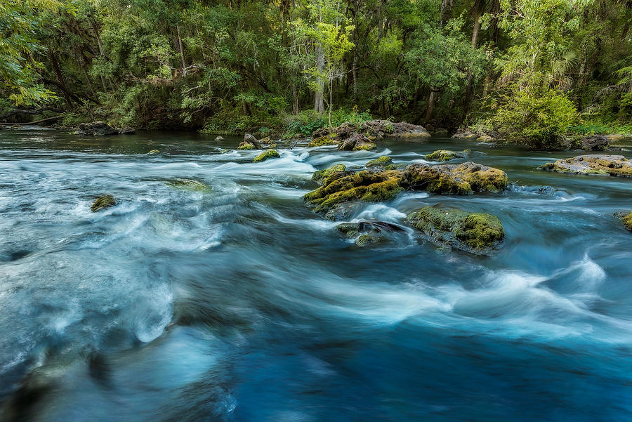 Hillsborough Rapids 042616-99  : Waterways and Woods  : Will Dickey Florida Fine Art Nature and Wildlife Photography - Images of Florida's First Coast - Nature and Landscape Photographs of Jacksonville, St. Augustine, Florida nature preserves