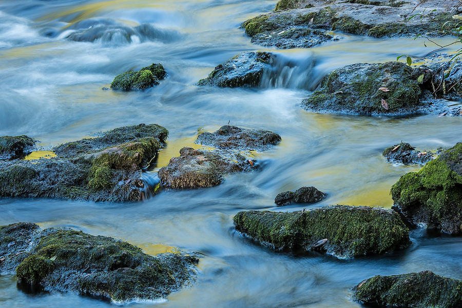 Hillsborough River Rocks 042616-48  : Waterways and Woods  : Will Dickey Florida Fine Art Nature and Wildlife Photography - Images of Florida's First Coast - Nature and Landscape Photographs of Jacksonville, St. Augustine, Florida nature preserves