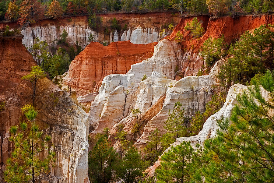 Little Grand Canyon 112214-81 : Waterways and Woods  : Will Dickey Florida Fine Art Nature and Wildlife Photography - Images of Florida's First Coast - Nature and Landscape Photographs of Jacksonville, St. Augustine, Florida nature preserves