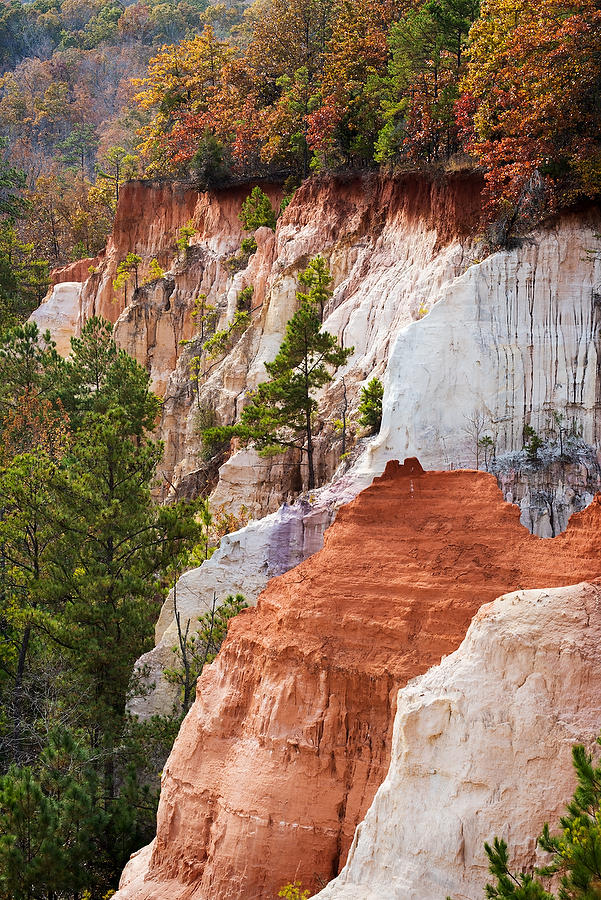 Little Grand Canyon 112214-10   : Waterways and Woods  : Will Dickey Florida Fine Art Nature and Wildlife Photography - Images of Florida's First Coast - Nature and Landscape Photographs of Jacksonville, St. Augustine, Florida nature preserves