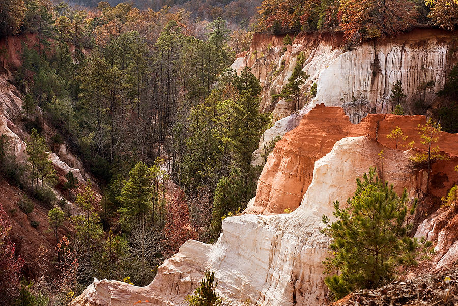 Little Grand Canyon 112214-25  : Waterways and Woods  : Will Dickey Florida Fine Art Nature and Wildlife Photography - Images of Florida's First Coast - Nature and Landscape Photographs of Jacksonville, St. Augustine, Florida nature preserves