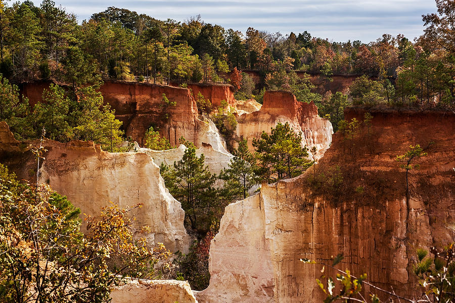 Little Grand Canyon 112214-40  : Waterways and Woods  : Will Dickey Florida Fine Art Nature and Wildlife Photography - Images of Florida's First Coast - Nature and Landscape Photographs of Jacksonville, St. Augustine, Florida nature preserves