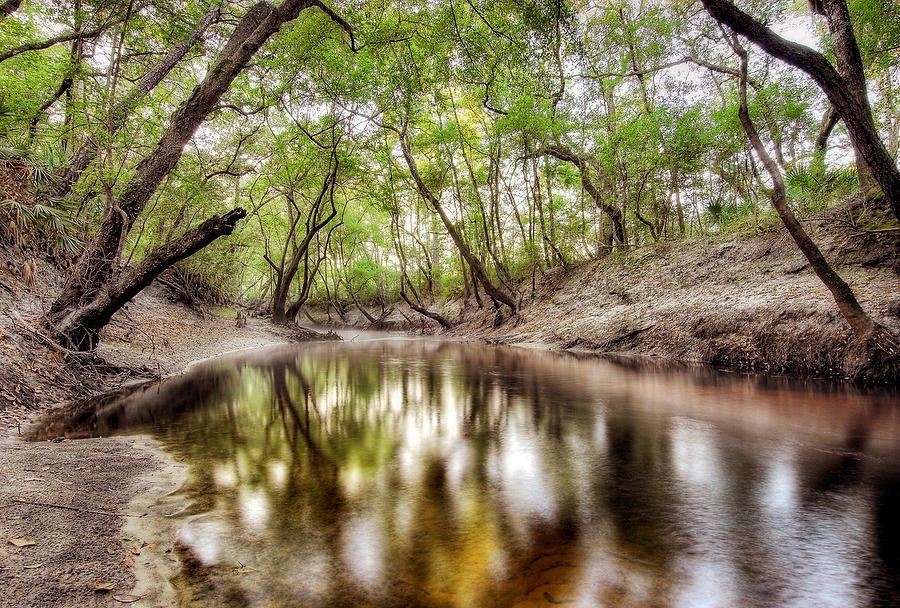 Little St. Marys River 051306-A72  : Waterways and Woods  : Will Dickey Florida Fine Art Nature and Wildlife Photography - Images of Florida's First Coast - Nature and Landscape Photographs of Jacksonville, St. Augustine, Florida nature preserves