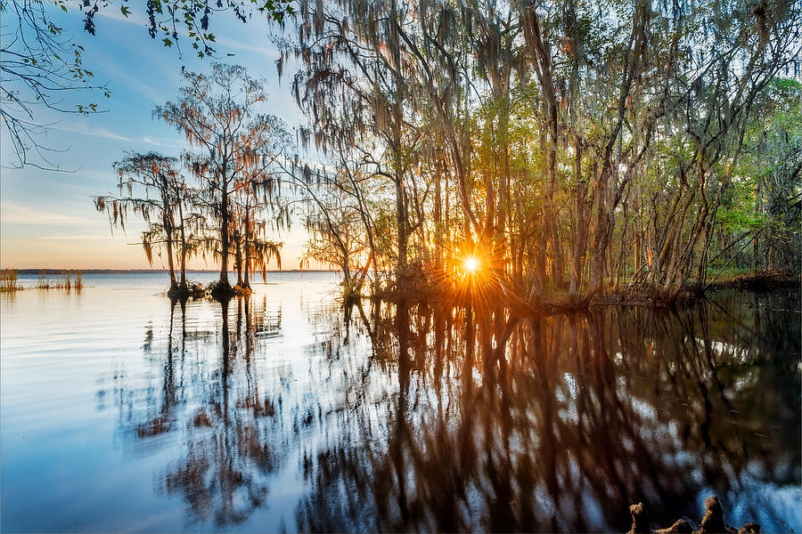 St. Johns Hidden Creek 111415-31  : Waterways and Woods  : Will Dickey Florida Fine Art Nature and Wildlife Photography - Images of Florida's First Coast - Nature and Landscape Photographs of Jacksonville, St. Augustine, Florida nature preserves