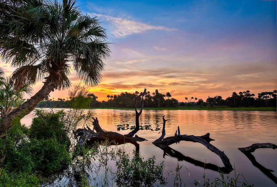 St. Johns Sunset 
082911-10  : Waterways and Woods  : Will Dickey Florida Fine Art Nature and Wildlife Photography - Images of Florida's First Coast - Nature and Landscape Photographs of Jacksonville, St. Augustine, Florida nature preserves