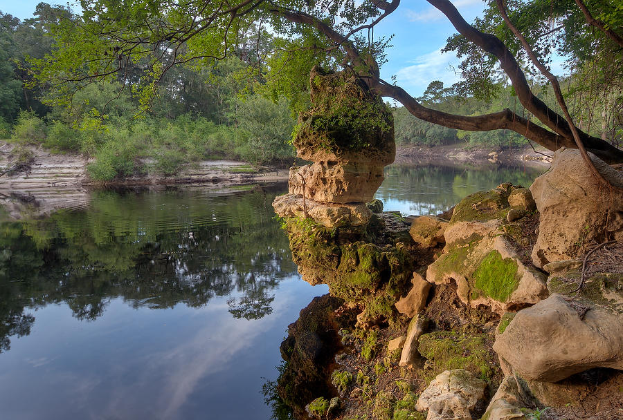 Suwannee Balanced Rock 081809-92  : Waterways and Woods  : Will Dickey Florida Fine Art Nature and Wildlife Photography - Images of Florida's First Coast - Nature and Landscape Photographs of Jacksonville, St. Augustine, Florida nature preserves