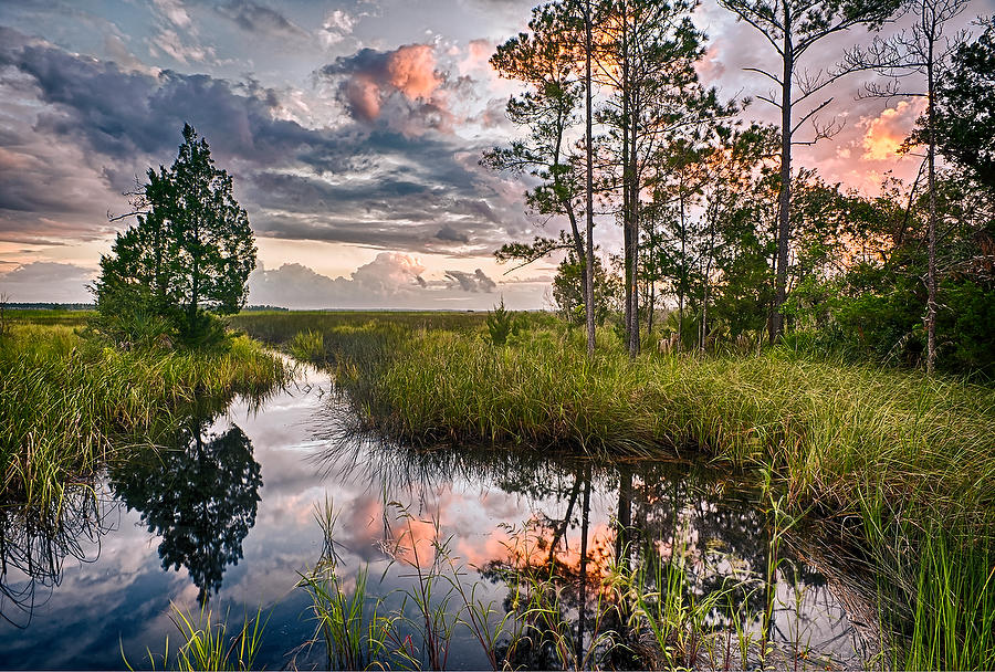 ThomasCreek Joel's Landing                     091312-10  : Waterways and Woods  : Will Dickey Florida Fine Art Nature and Wildlife Photography - Images of Florida's First Coast - Nature and Landscape Photographs of Jacksonville, St. Augustine, Florida nature preserves