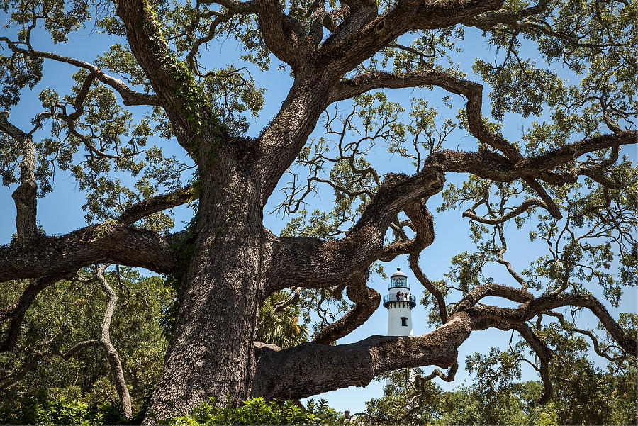 St. Simons Light    
071517-3 : Landmarks & Historic Structures : Will Dickey Florida Fine Art Nature and Wildlife Photography - Images of Florida's First Coast - Nature and Landscape Photographs of Jacksonville, St. Augustine, Florida nature preserves