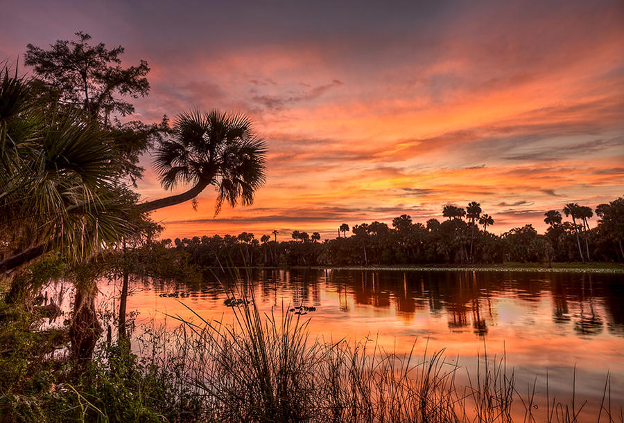 St. Johns Sunset    082911-56 : Waterways and Woods  : Will Dickey Florida Fine Art Nature and Wildlife Photography - Images of Florida's First Coast - Nature and Landscape Photographs of Jacksonville, St. Augustine, Florida nature preserves