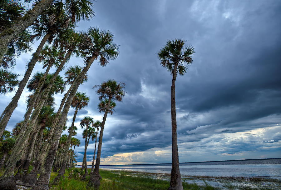 Lake Harney Storm 083011-517  : Waterways and Woods  : Will Dickey Florida Fine Art Nature and Wildlife Photography - Images of Florida's First Coast - Nature and Landscape Photographs of Jacksonville, St. Augustine, Florida nature preserves