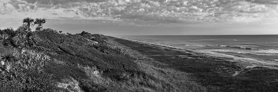 Guana Beach 
101808-119PBW : Black and White : Will Dickey Florida Fine Art Nature and Wildlife Photography - Images of Florida's First Coast - Nature and Landscape Photographs of Jacksonville, St. Augustine, Florida nature preserves