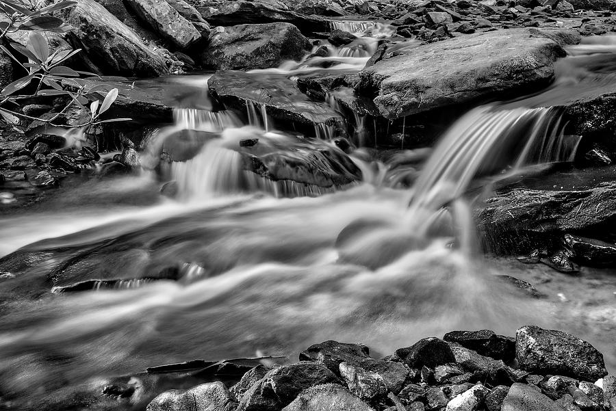 Georgia Mountain StreamBW             
062616-122 : Black and White : Will Dickey Florida Fine Art Nature and Wildlife Photography - Images of Florida's First Coast - Nature and Landscape Photographs of Jacksonville, St. Augustine, Florida nature preserves