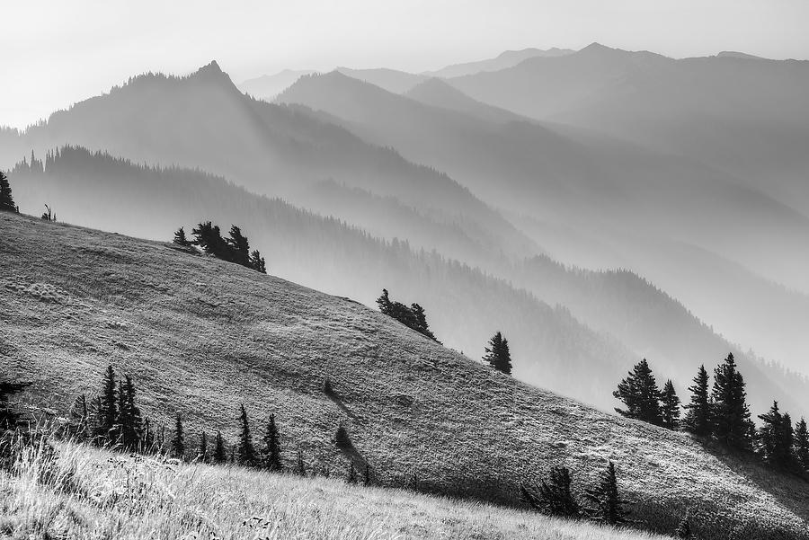 Hurricane Ridge   070915-25BW : Black and White : Will Dickey Florida Fine Art Nature and Wildlife Photography - Images of Florida's First Coast - Nature and Landscape Photographs of Jacksonville, St. Augustine, Florida nature preserves