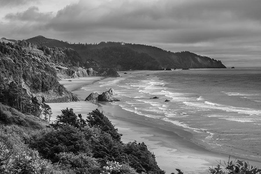 Oregon Coast        070615-268BW : Black and White : Will Dickey Florida Fine Art Nature and Wildlife Photography - Images of Florida's First Coast - Nature and Landscape Photographs of Jacksonville, St. Augustine, Florida nature preserves