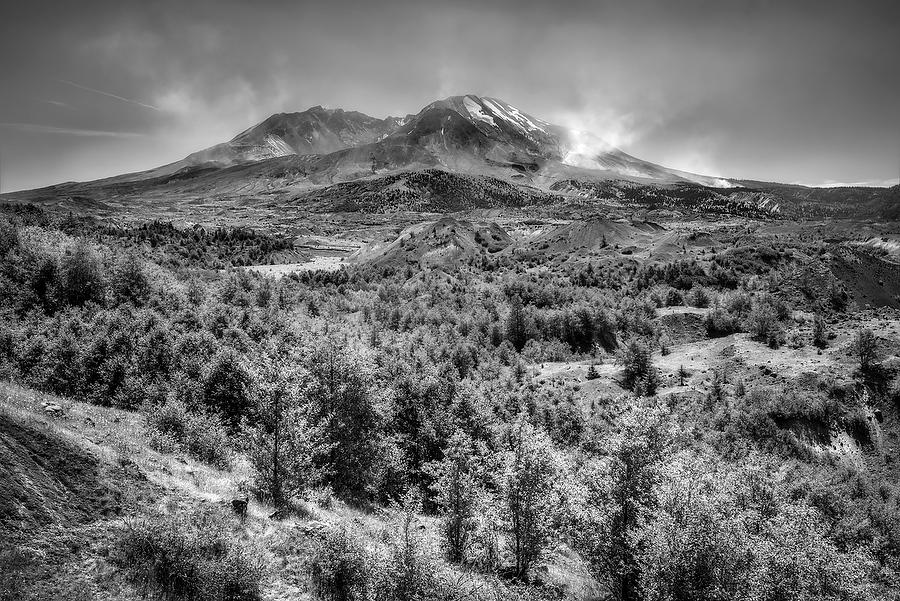 Mount St. Helens  
070515-112BW : Black and White : Will Dickey Florida Fine Art Nature and Wildlife Photography - Images of Florida's First Coast - Nature and Landscape Photographs of Jacksonville, St. Augustine, Florida nature preserves