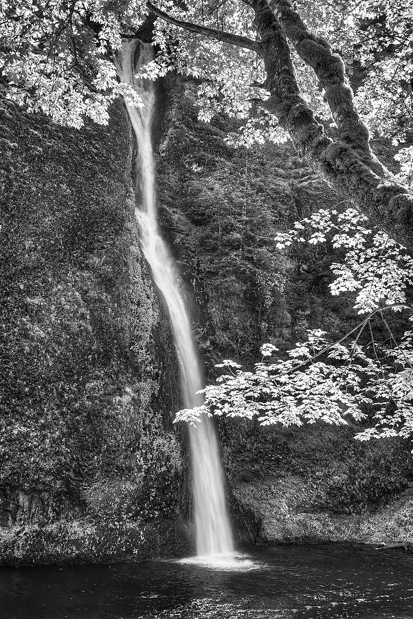 Horsetail Falls       070415-224BW : Black and White : Will Dickey Florida Fine Art Nature and Wildlife Photography - Images of Florida's First Coast - Nature and Landscape Photographs of Jacksonville, St. Augustine, Florida nature preserves