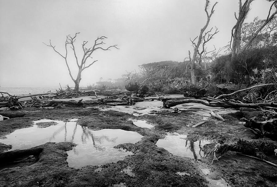 Big Talbot Fog       121512-135BW : Black and White : Will Dickey Florida Fine Art Nature and Wildlife Photography - Images of Florida's First Coast - Nature and Landscape Photographs of Jacksonville, St. Augustine, Florida nature preserves