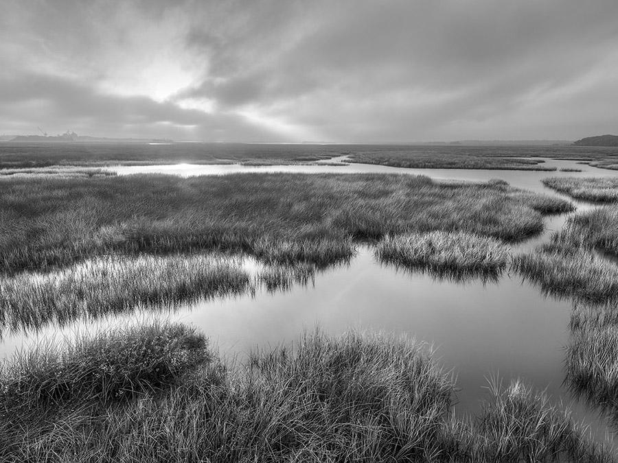 Round Marsh Sunrise 081906-19BW : Black and White : Will Dickey Florida Fine Art Nature and Wildlife Photography - Images of Florida's First Coast - Nature and Landscape Photographs of Jacksonville, St. Augustine, Florida nature preserves