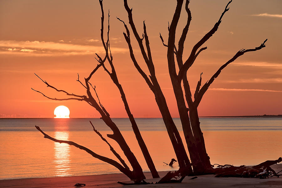 Big Talbot Sunrise 121217-70 : Timucuan Preserve  : Will Dickey Florida Fine Art Nature and Wildlife Photography - Images of Florida's First Coast - Nature and Landscape Photographs of Jacksonville, St. Augustine, Florida nature preserves