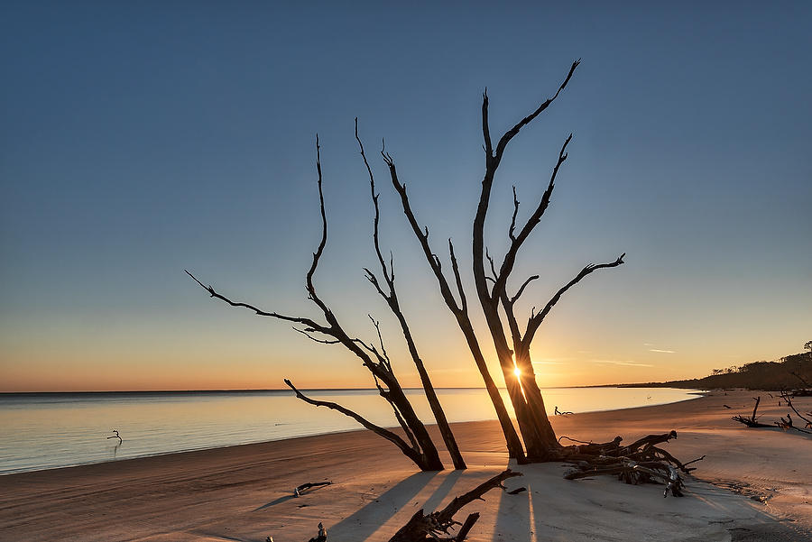 Big Talbot Sunrise 121217-110 : Timucuan Preserve  : Will Dickey Florida Fine Art Nature and Wildlife Photography - Images of Florida's First Coast - Nature and Landscape Photographs of Jacksonville, St. Augustine, Florida nature preserves