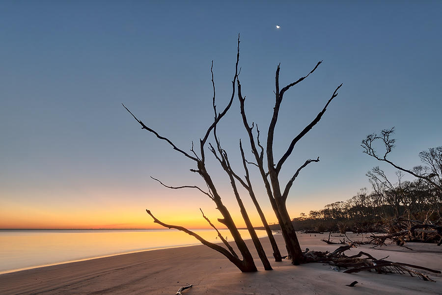 Big Talbot Moonrise 121217-14 : Timucuan Preserve  : Will Dickey Florida Fine Art Nature and Wildlife Photography - Images of Florida's First Coast - Nature and Landscape Photographs of Jacksonville, St. Augustine, Florida nature preserves