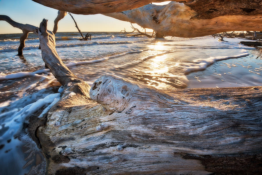 Big Talbot Driftwood      030418-154 : Timucuan Preserve  : Will Dickey Florida Fine Art Nature and Wildlife Photography - Images of Florida's First Coast - Nature and Landscape Photographs of Jacksonville, St. Augustine, Florida nature preserves