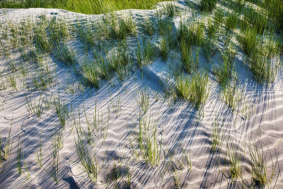 Big Talbot Dune 
042918-138 : Timucuan Preserve : Will Dickey Florida Fine Art Nature and Wildlife Photography - Images of Florida's First Coast - Nature and Landscape Photographs of Jacksonville, St. Augustine, Florida nature preserves