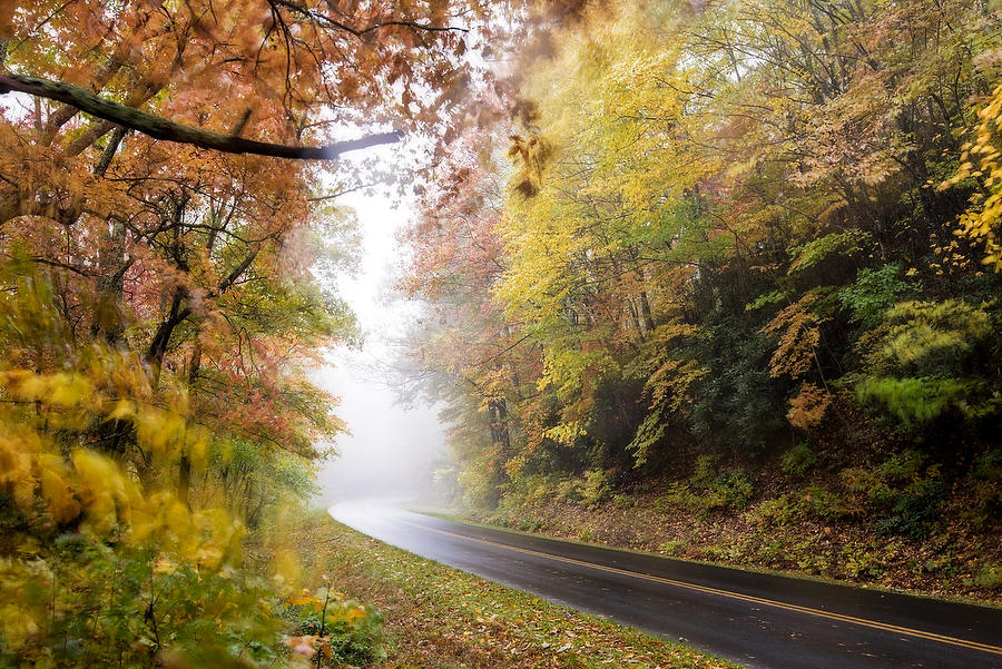 Blue Ridge Fog      102718-168 : Appalachian Mountains : Will Dickey Florida Fine Art Nature and Wildlife Photography - Images of Florida's First Coast - Nature and Landscape Photographs of Jacksonville, St. Augustine, Florida nature preserves