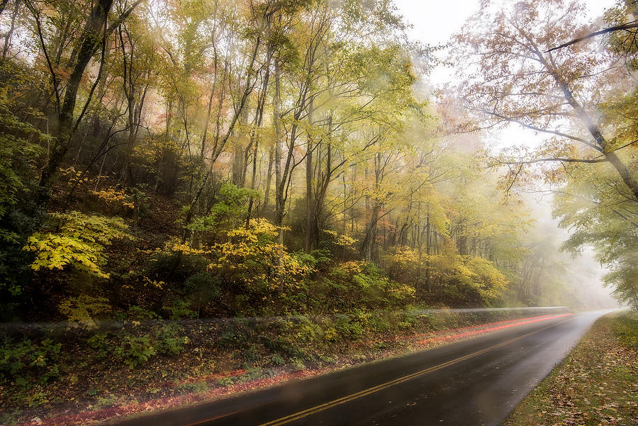 Blue Ridge Rain    102718-177  : Appalachian Mountains : Will Dickey Florida Fine Art Nature and Wildlife Photography - Images of Florida's First Coast - Nature and Landscape Photographs of Jacksonville, St. Augustine, Florida nature preserves