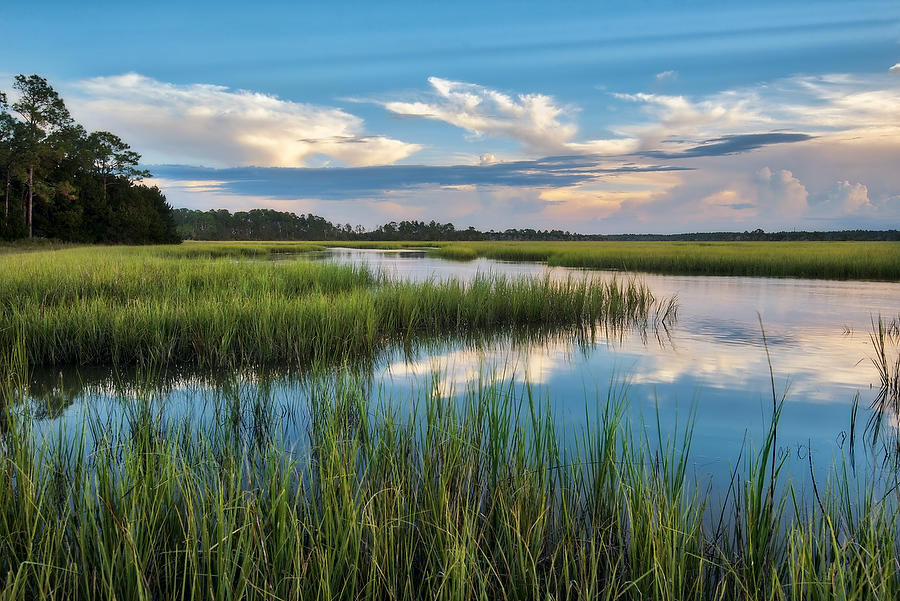 Sawpit Creek 
090918-209 : Timucuan Preserve  : Will Dickey Florida Fine Art Nature and Wildlife Photography - Images of Florida's First Coast - Nature and Landscape Photographs of Jacksonville, St. Augustine, Florida nature preserves