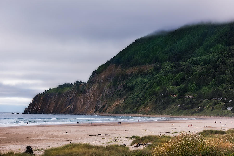 Oregon Coast
070615-238 : Pacific Northwest  : Will Dickey Florida Fine Art Nature and Wildlife Photography - Images of Florida's First Coast - Nature and Landscape Photographs of Jacksonville, St. Augustine, Florida nature preserves