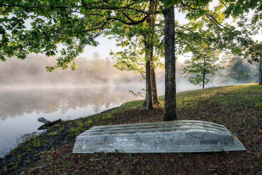 Camp Pond Mist   041519-96 : Waterways and Woods  : Will Dickey Florida Fine Art Nature and Wildlife Photography - Images of Florida's First Coast - Nature and Landscape Photographs of Jacksonville, St. Augustine, Florida nature preserves