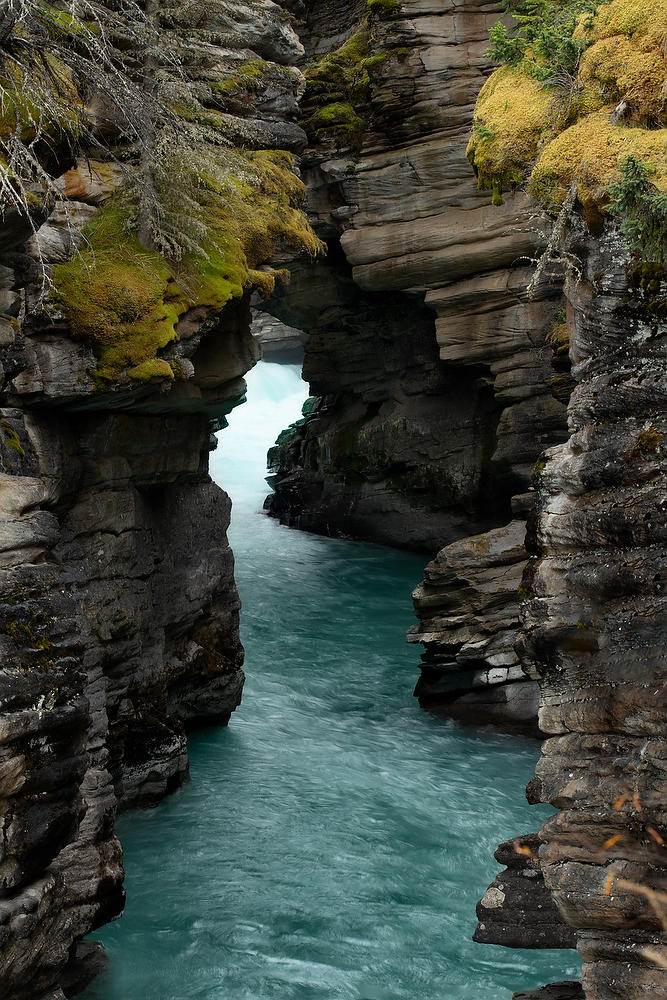 Athabasca Gorge 
100319-195  : Canadian Rockies : Will Dickey Florida Fine Art Nature and Wildlife Photography - Images of Florida's First Coast - Nature and Landscape Photographs of Jacksonville, St. Augustine, Florida nature preserves