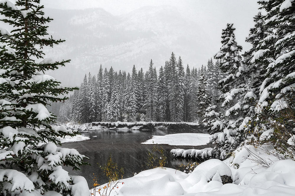 Kananaskis Snowstorm 
092919-174 : Canadian Rockies : Will Dickey Florida Fine Art Nature and Wildlife Photography - Images of Florida's First Coast - Nature and Landscape Photographs of Jacksonville, St. Augustine, Florida nature preserves