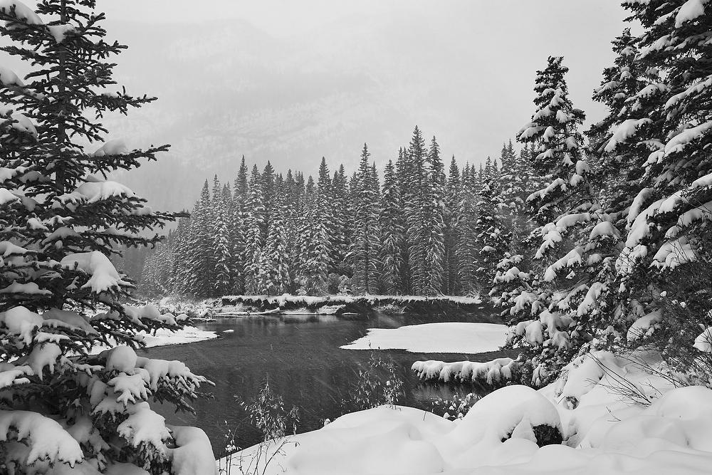Kananaskis Snowstorm 092919-174BW : Canadian Rockies : Will Dickey Florida Fine Art Nature and Wildlife Photography - Images of Florida's First Coast - Nature and Landscape Photographs of Jacksonville, St. Augustine, Florida nature preserves