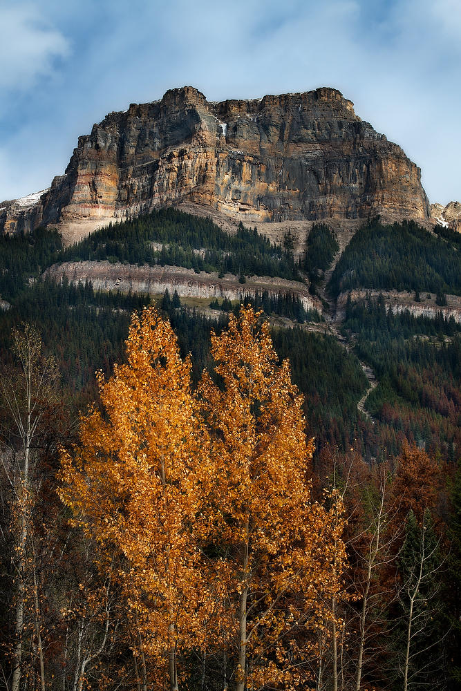 Sunwapta Mountain 100219-89 : Canadian Rockies : Will Dickey Florida Fine Art Nature and Wildlife Photography - Images of Florida's First Coast - Nature and Landscape Photographs of Jacksonville, St. Augustine, Florida nature preserves