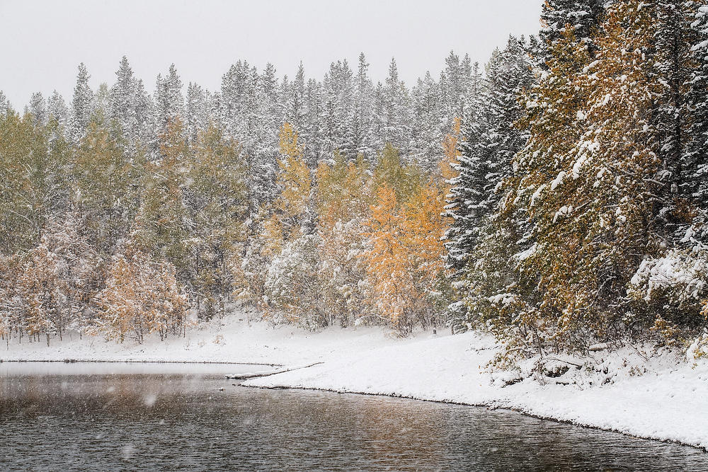 Wedge Pond Snowstorm 092919-86 : Canadian Rockies : Will Dickey Florida Fine Art Nature and Wildlife Photography - Images of Florida's First Coast - Nature and Landscape Photographs of Jacksonville, St. Augustine, Florida nature preserves