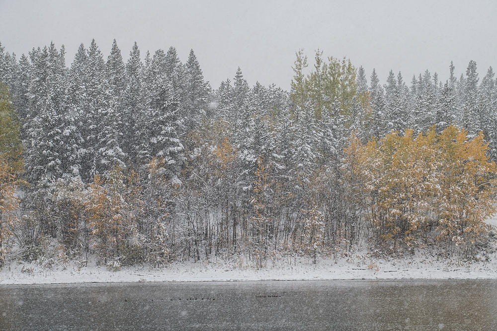 Wedge Pond Snowstorm 092919-95 : Canadian Rockies : Will Dickey Florida Fine Art Nature and Wildlife Photography - Images of Florida's First Coast - Nature and Landscape Photographs of Jacksonville, St. Augustine, Florida nature preserves