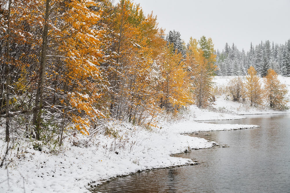 Wedge Pond Snowstorm 092919-44 : Canadian Rockies : Will Dickey Florida Fine Art Nature and Wildlife Photography - Images of Florida's First Coast - Nature and Landscape Photographs of Jacksonville, St. Augustine, Florida nature preserves