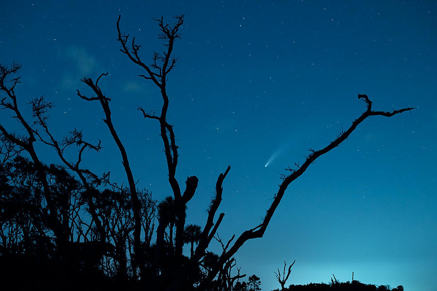 Comet Neowise Big Talbot
071720-13 : Timucuan Preserve  : Will Dickey Florida Fine Art Nature and Wildlife Photography - Images of Florida's First Coast - Nature and Landscape Photographs of Jacksonville, St. Augustine, Florida nature preserves