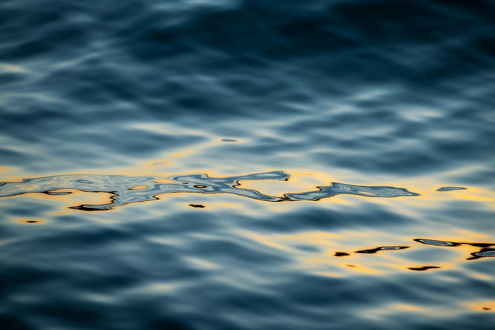 Blue Ridge Reflections 071120-89 : Abstract Realities : Will Dickey Florida Fine Art Nature and Wildlife Photography - Images of Florida's First Coast - Nature and Landscape Photographs of Jacksonville, St. Augustine, Florida nature preserves