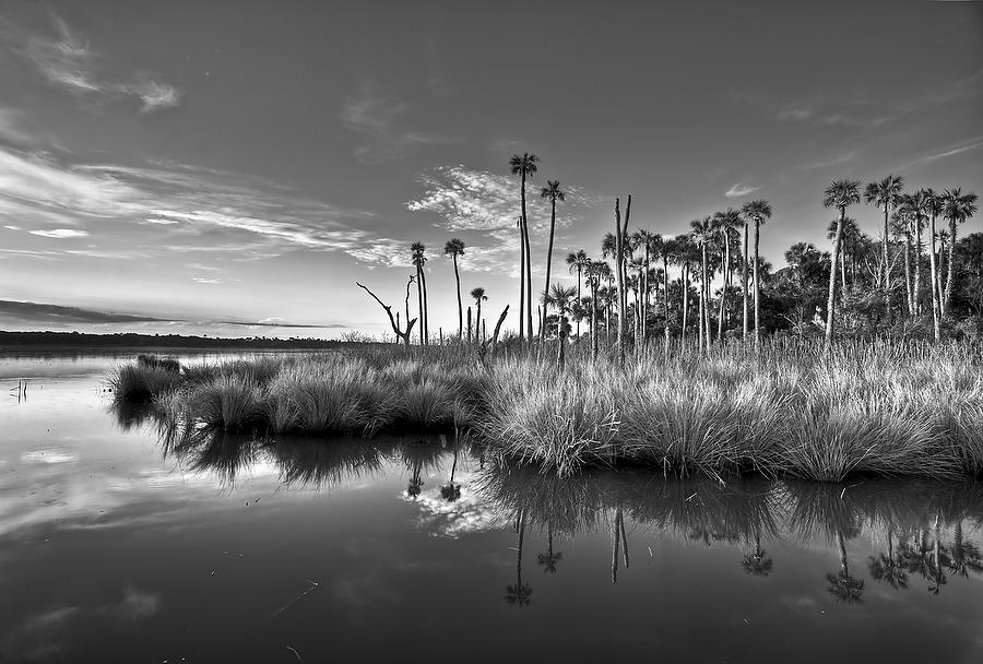 Guana Shore Dawn 081011-532BW : Black and White : Will Dickey Florida Fine Art Nature and Wildlife Photography - Images of Florida's First Coast - Nature and Landscape Photographs of Jacksonville, St. Augustine, Florida nature preserves