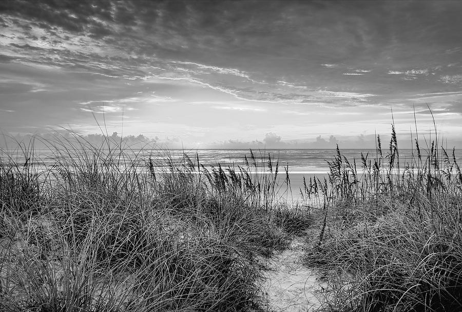 Jacksonville Beach Sunrise 
082609-39BW : Black and White : Will Dickey Florida Fine Art Nature and Wildlife Photography - Images of Florida's First Coast - Nature and Landscape Photographs of Jacksonville, St. Augustine, Florida nature preserves