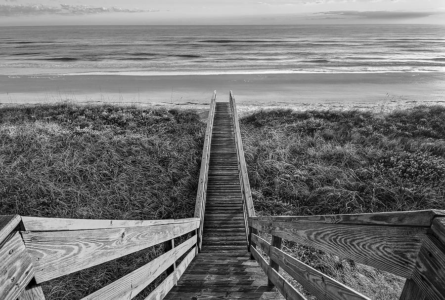 Ponte Vedra Boardwalk 121907-115BW : Black and White : Will Dickey Florida Fine Art Nature and Wildlife Photography - Images of Florida's First Coast - Nature and Landscape Photographs of Jacksonville, St. Augustine, Florida nature preserves