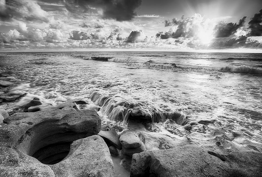 Washington Oaks Sunrise 071512-99BW : Black and White : Will Dickey Florida Fine Art Nature and Wildlife Photography - Images of Florida's First Coast - Nature and Landscape Photographs of Jacksonville, St. Augustine, Florida nature preserves