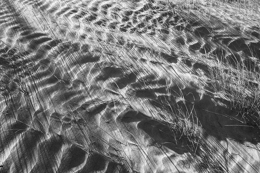 Big Talbot Dune Tracks 042918-189BW : Black and White : Will Dickey Florida Fine Art Nature and Wildlife Photography - Images of Florida's First Coast - Nature and Landscape Photographs of Jacksonville, St. Augustine, Florida nature preserves